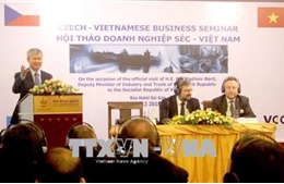 Việt Nam - Czech có nhiều tiềm năng hợp tác về đầu tư, thương mại 
